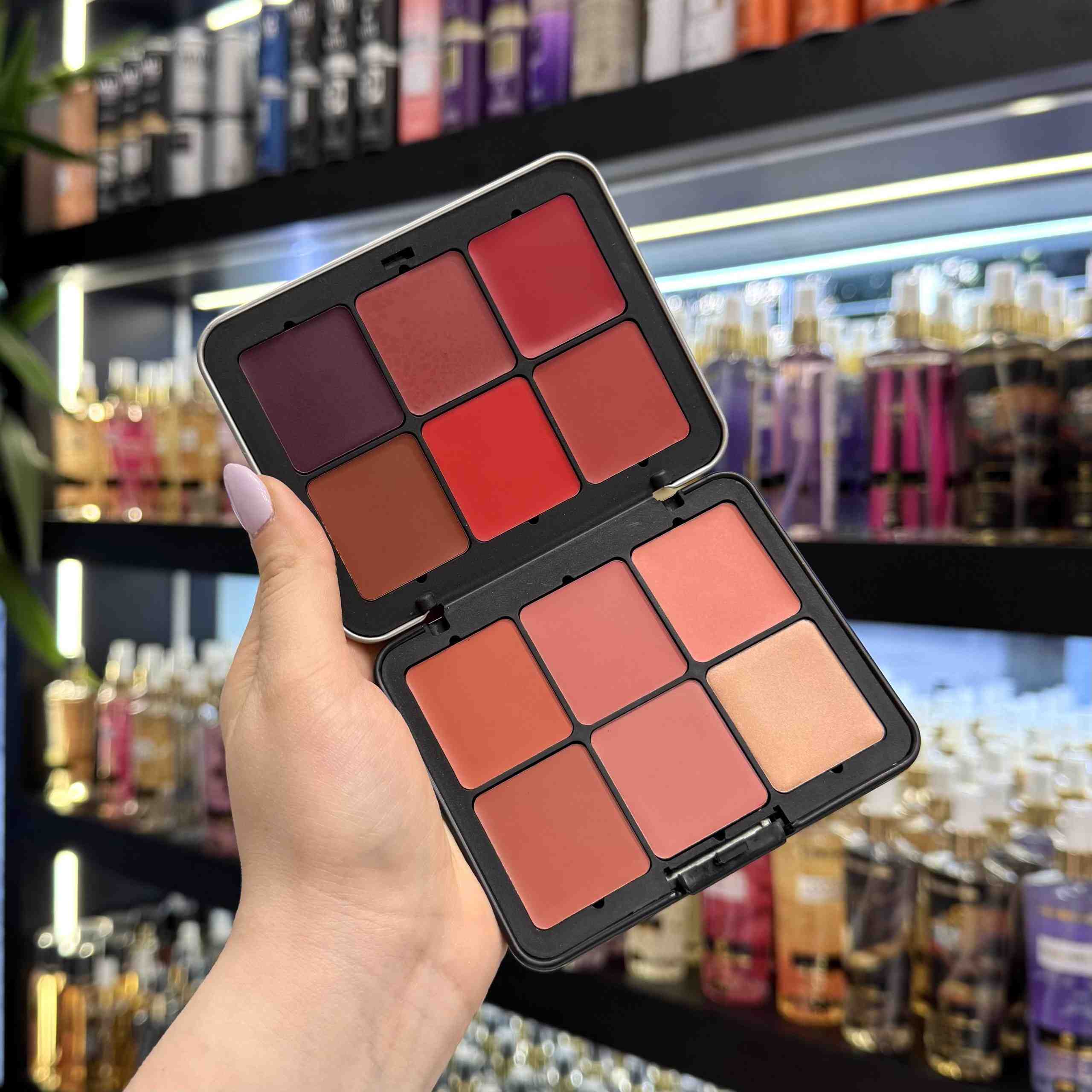 پالت رژلب و رژگونه مای میکاپ استوری My Makeup - گالری دلربا